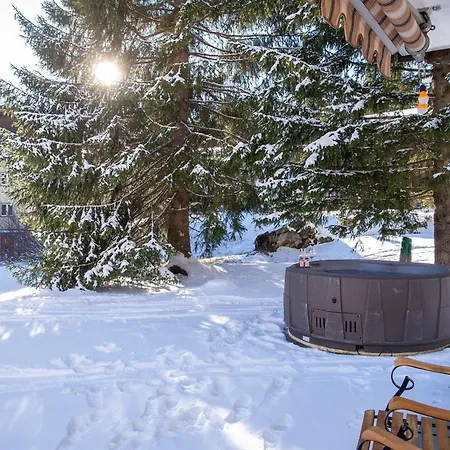 Appartamento Casoja Valbella -lenzerheide Fuer 4 Personen Mit Privatem Jacuzzi
